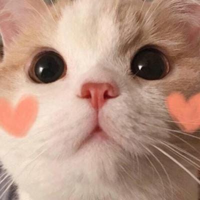 Phạm Hoàng Việt avatar