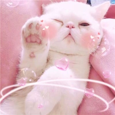 Phạm Văn Sang avatar