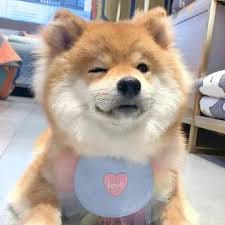 Trần Thị Phương avatar